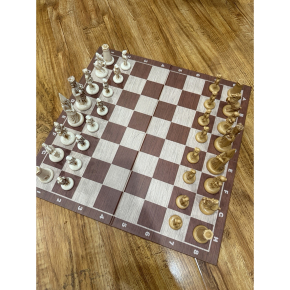 Vintage Schach Plastic Chess Set Medieval Camelot Full Set Germany No Board - Picture 3 of 16